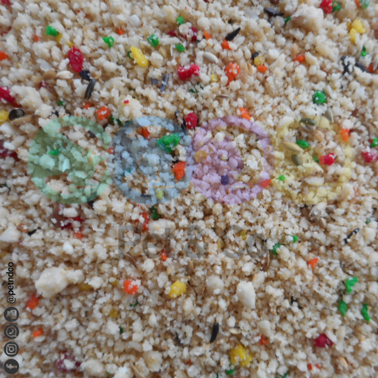 159091871_2969792929922156_2459530821504816474_n