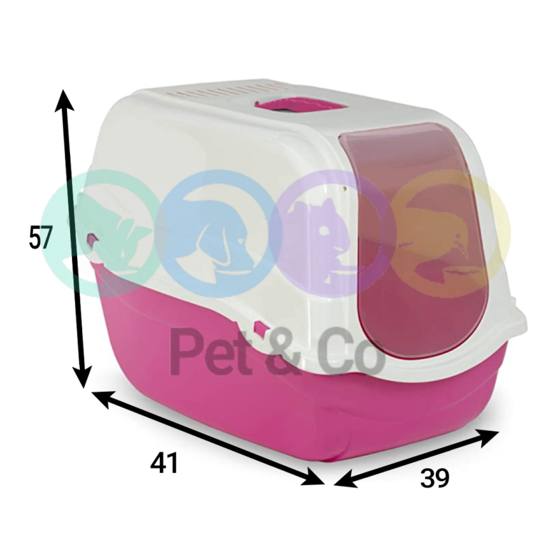 161359831_3959647870768600_5181712340152506175_n