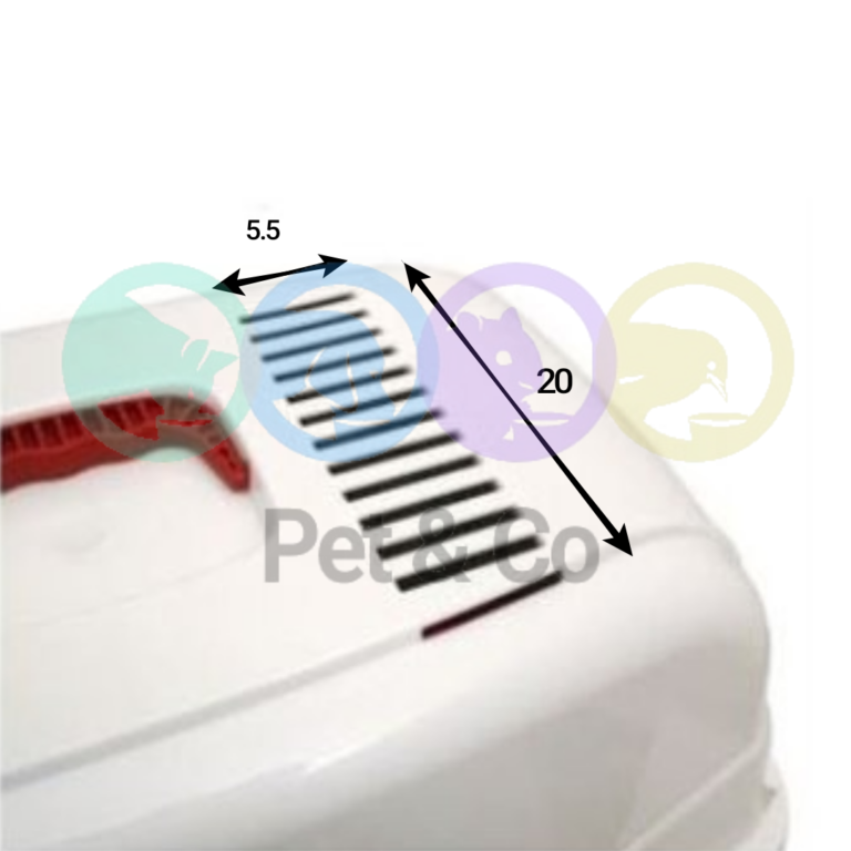 162087337_108545514546351_4088976332983836074_n