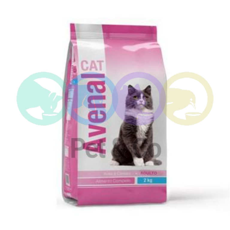 164337152_250103126792894_3555009414580962027_n