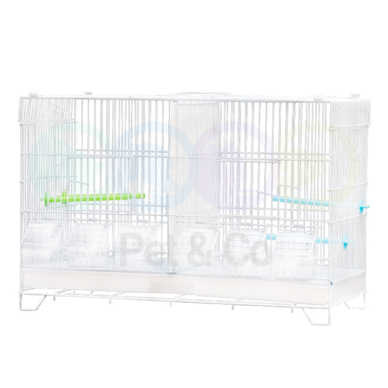 Cage d'élevage pour petits oiseaux avec séparateur