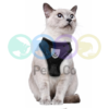 Harnais réglable de marche pour chats et chiots