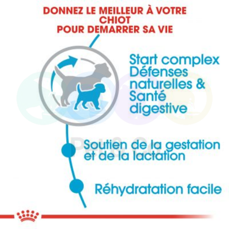 171790742_179628633997572_6090728322778226406_n