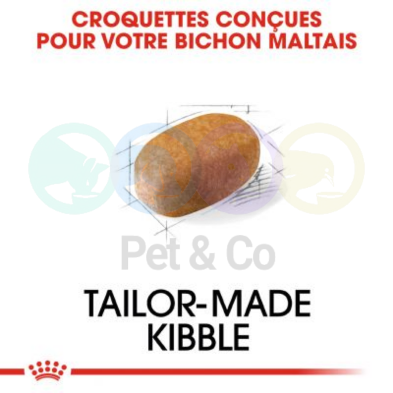 171999670_1361657657533991_2338207526352237082_n