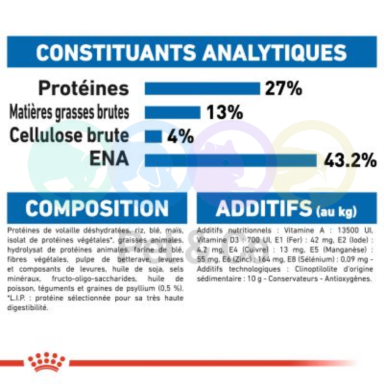 171999670_600572198007033_5984908042946828261_n