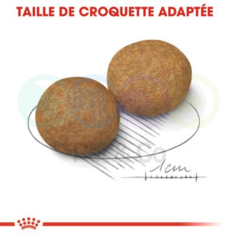 172044343_297262985350223_2006044028180431616_n