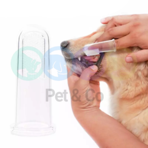 Brosse à dents à doigt pour chiens et chats
