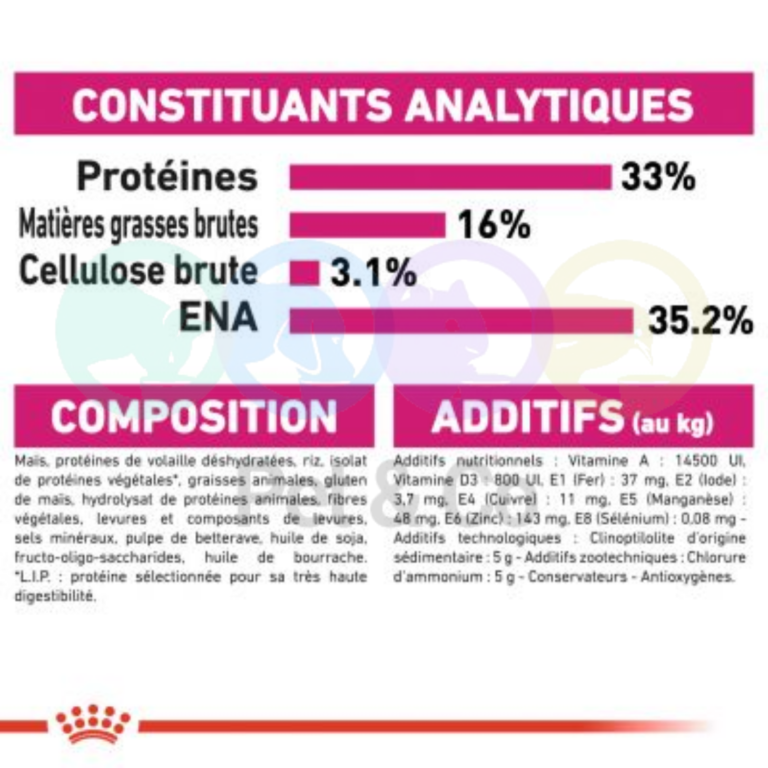 172474901_1226157284480867_5098662117988996294_n