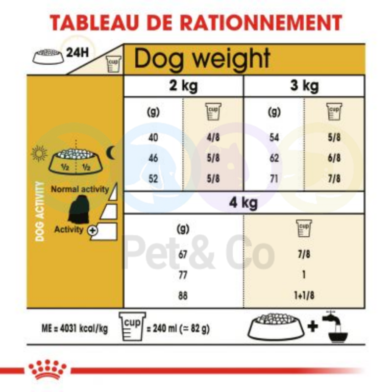 173058411_270403128126658_6131369535663134260_n