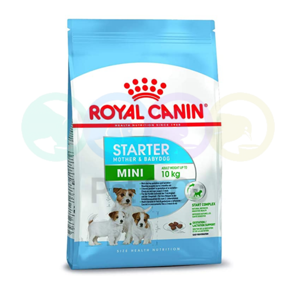 Croquettes pour chiennes Mini Starter M&B 3Kg - Royal Canin