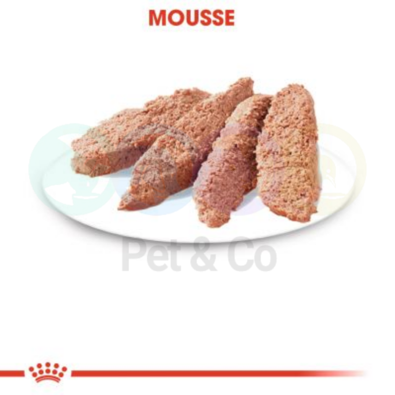 173365658_643966273108014_3558516807044664425_n