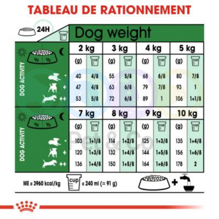 173946184_482498649579988_9058026337745210433_n