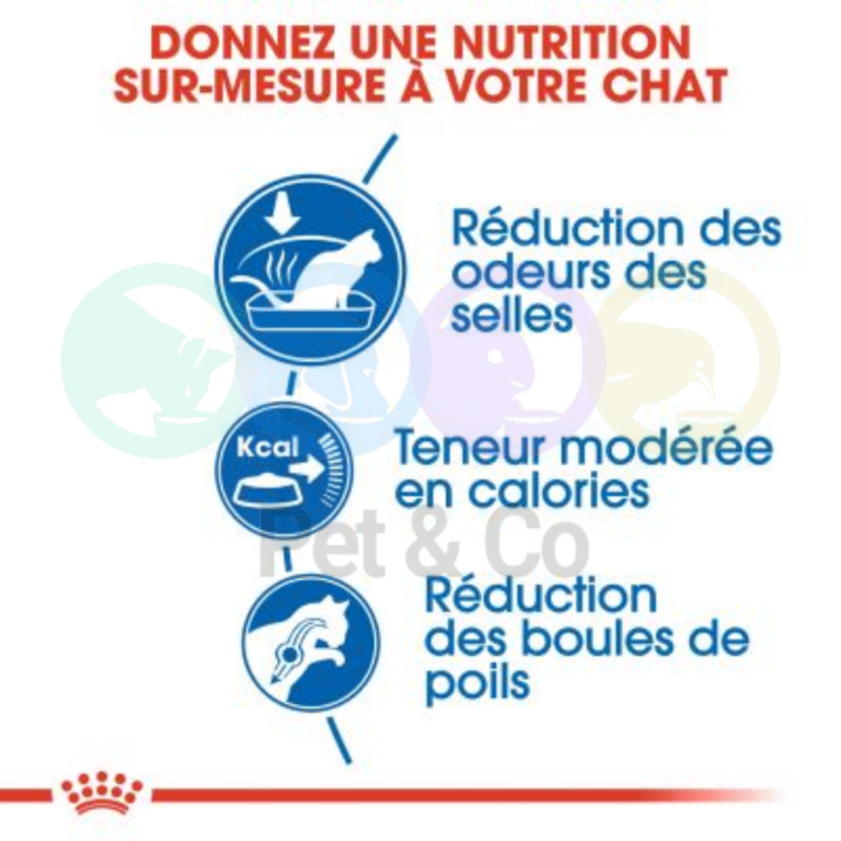 174234865_929586154282278_878731811771851806_n