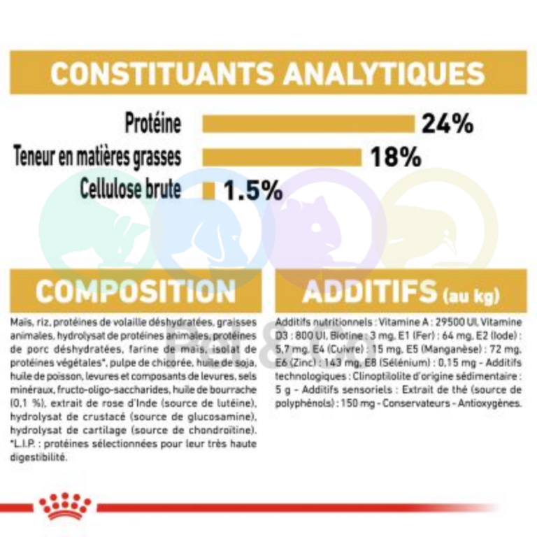 174242582_502862504228934_636530842618202680_n