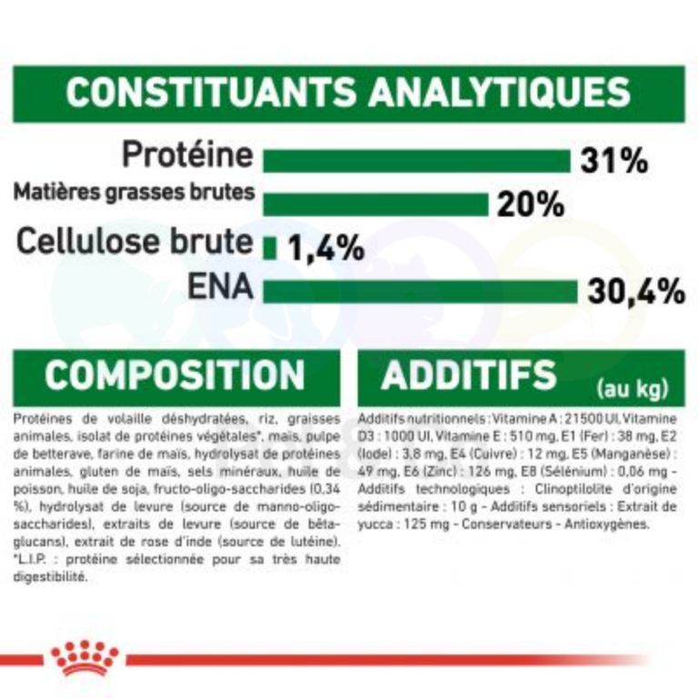 174535920_1812353438940269_7066604820652201830_n