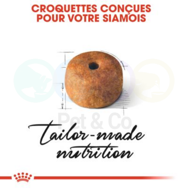 174572785_2997705127220671_682912920314112027_n