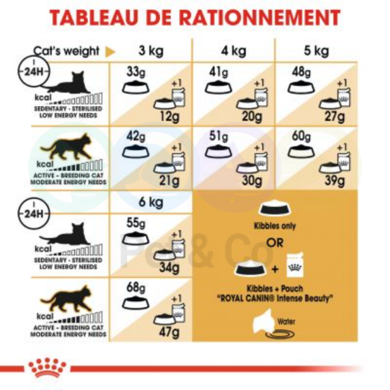 174606215_140994114649764_31328521676284877_n