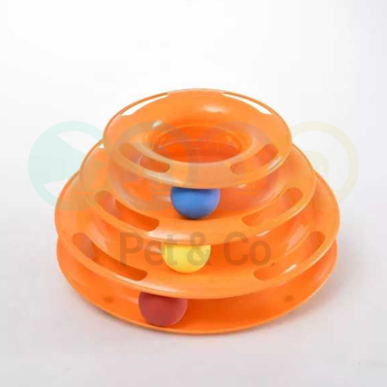 174658379_460263791852256_4886333164301053886_n