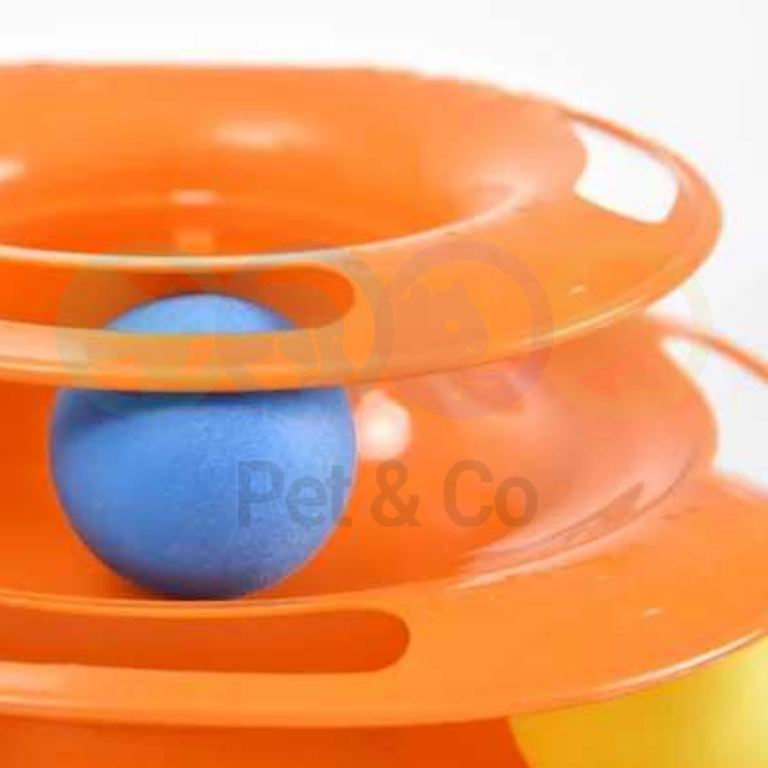 174731400_279571453650958_6981181396073267244_n