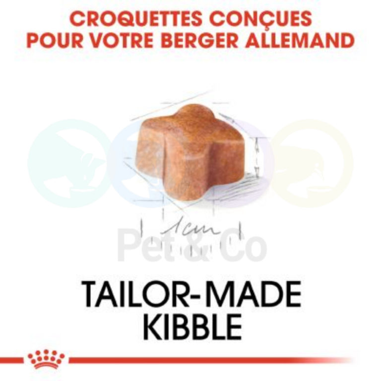 174781205_269724838169726_7084759438586148438_n