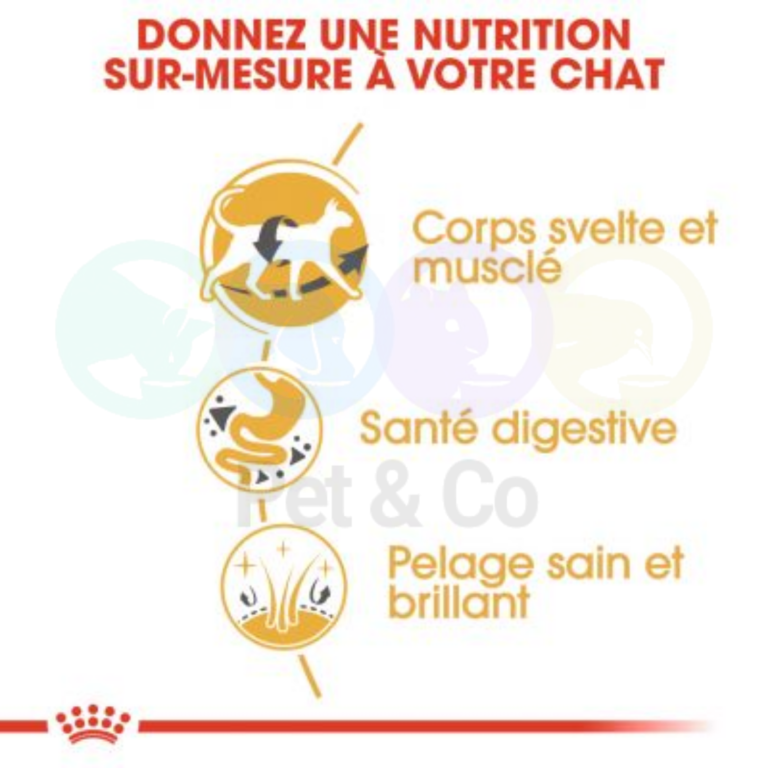 174801461_223280302902001_5269009228802060991_n