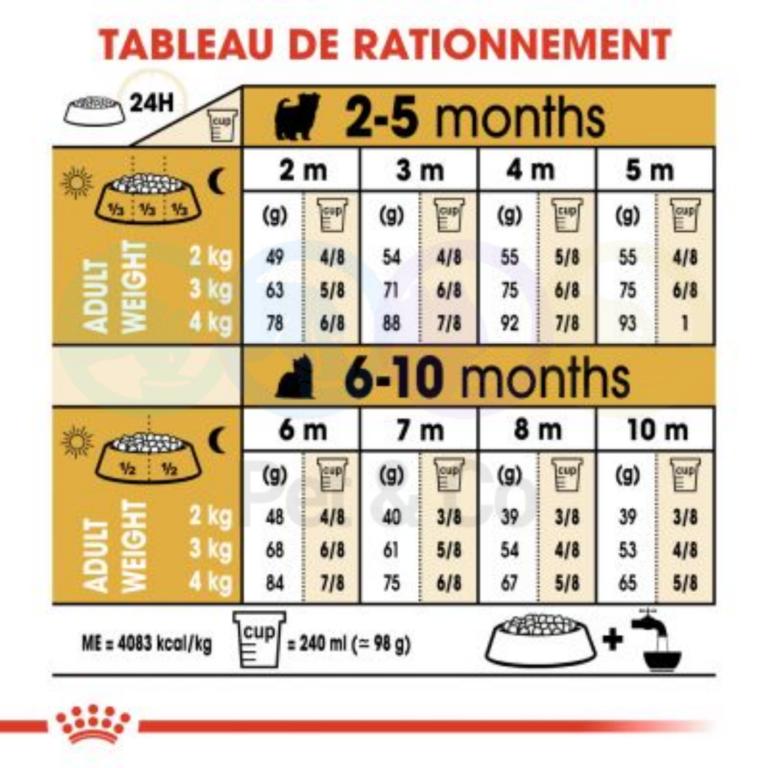 175073106_1667560520095652_4690385021814898009_n