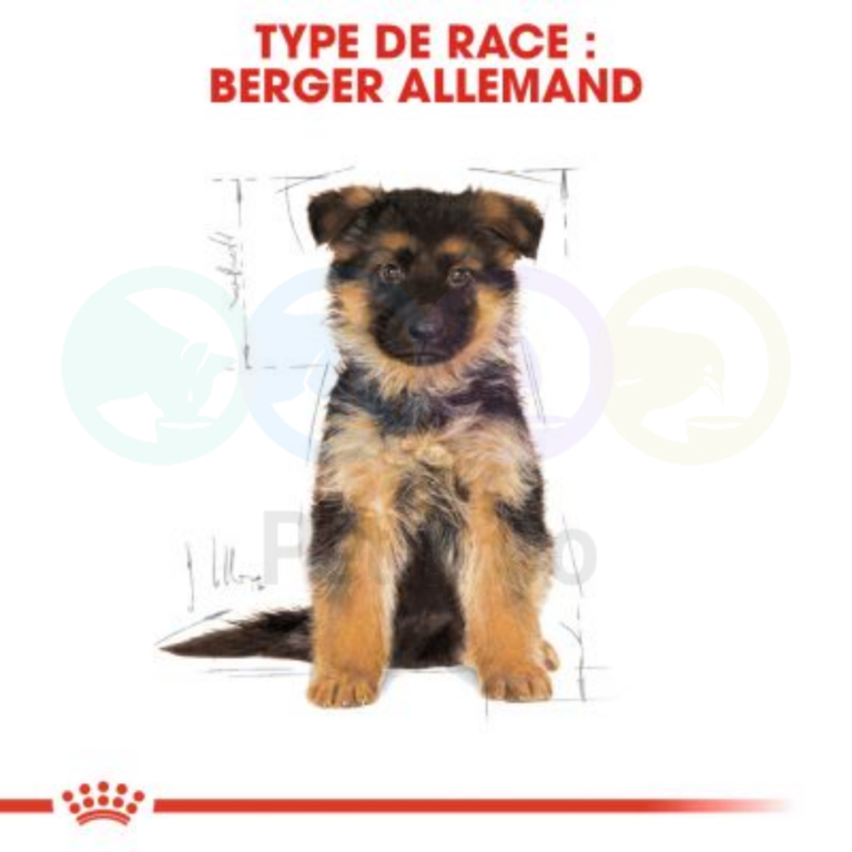 175101838_292576719107757_9164710097873709946_n