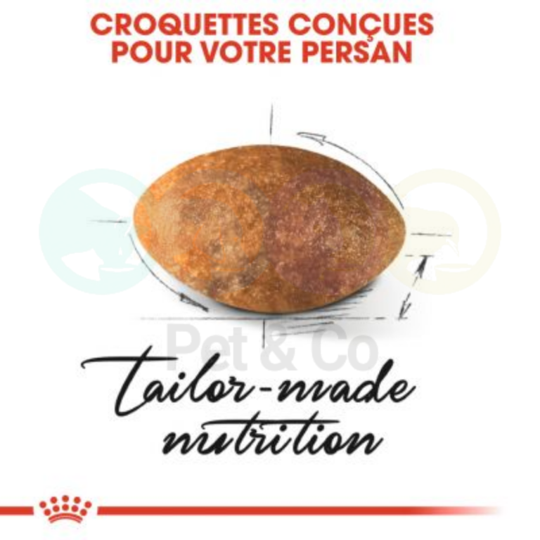 175178390_326767958894399_8379961975624589248_n