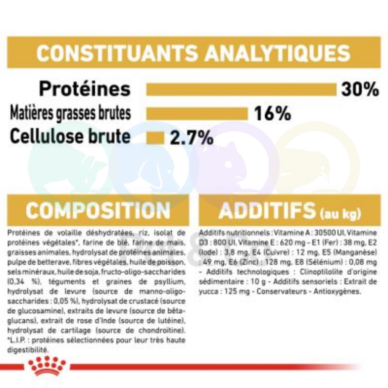 175376844_3439765826125036_8224774161490488957_n