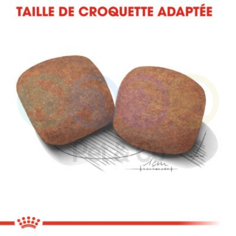 175412855_5611581172215514_7531036387538229360_n