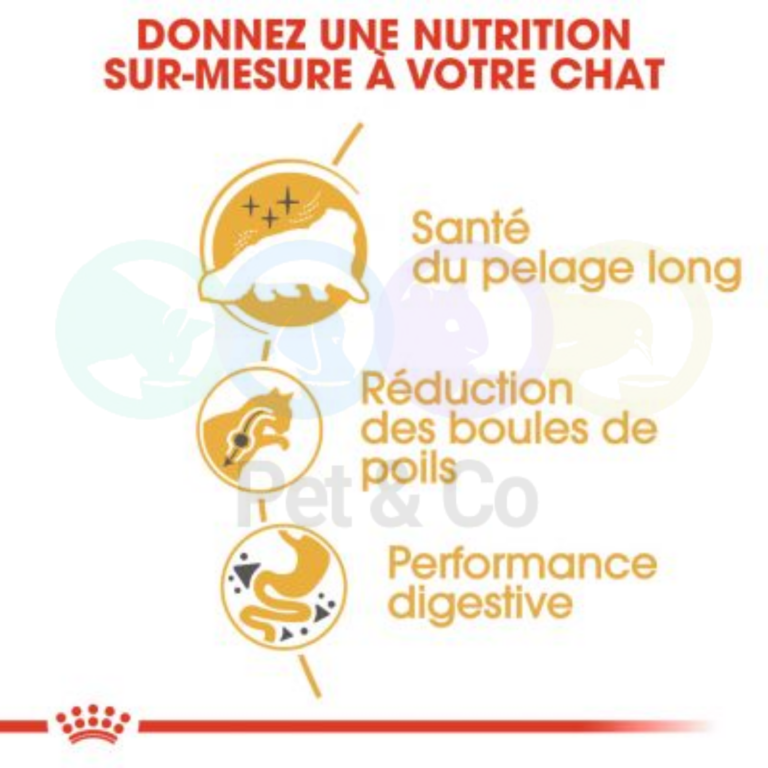 175486762_259839322556482_1414692341491537401_n