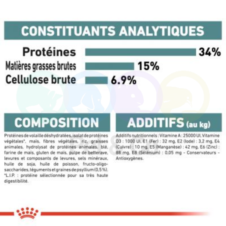 175540605_1092423654560086_6868679491234280514_n