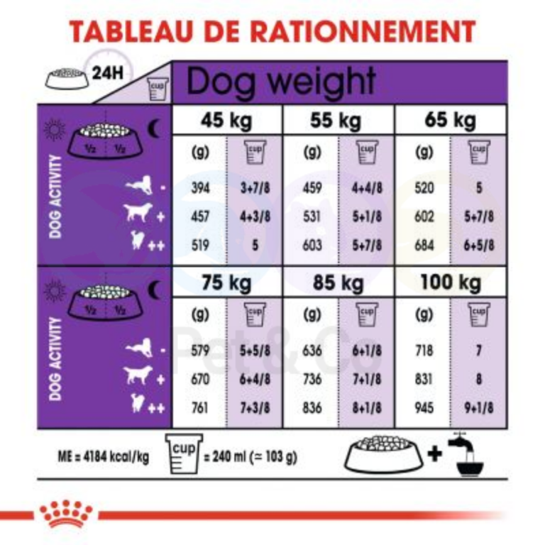 175575518_280281586966130_653605177127794263_n