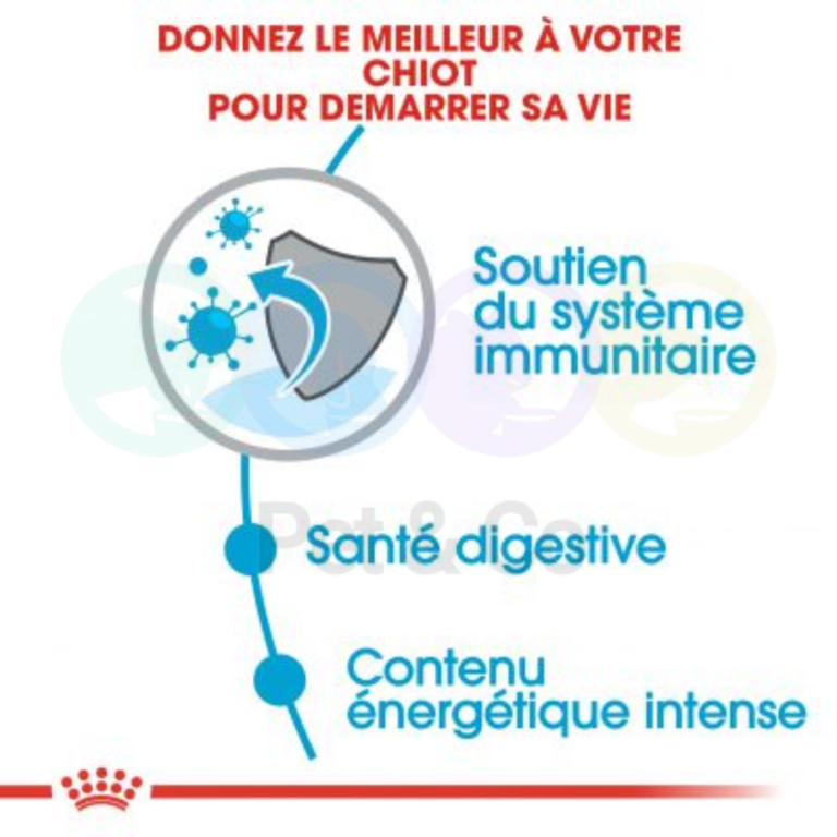 175689609_1360720327647388_6205319614384065705_n