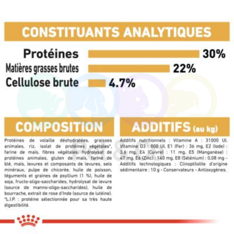 175719730_1362541524130310_2876395984026111056_n