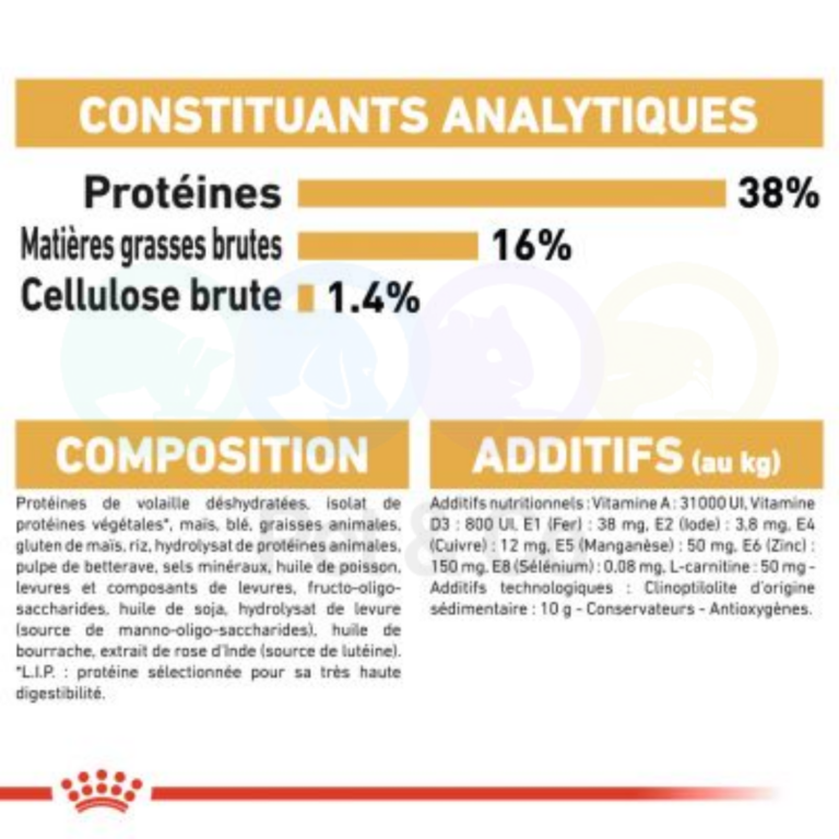 175736534_1112624312555601_6729869584076752698_n