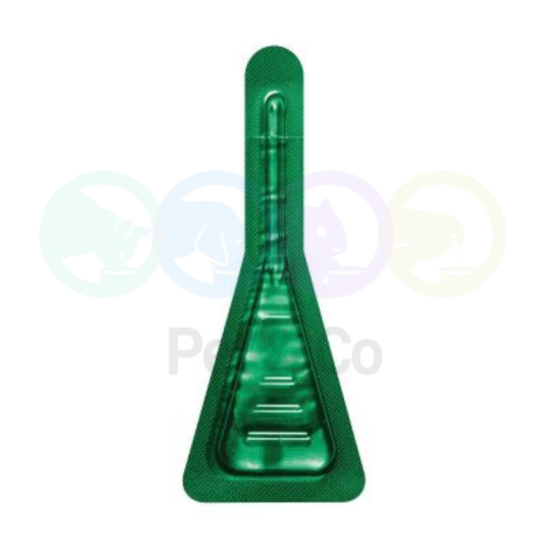 175822382_3863682790417373_344272689346722366_n