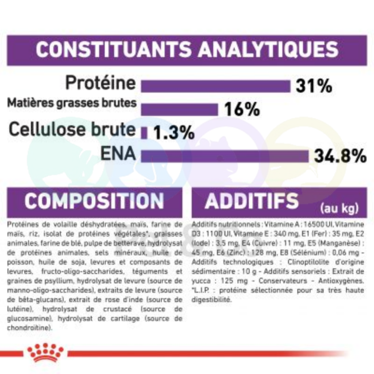 175875913_730856087584394_7171330484100170277_n