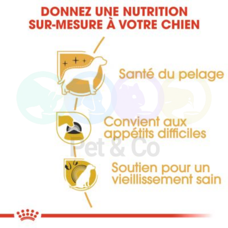 176040190_1504907936507108_622510895494686975_n