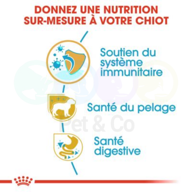 176140875_275093800946839_3005453062679208907_n