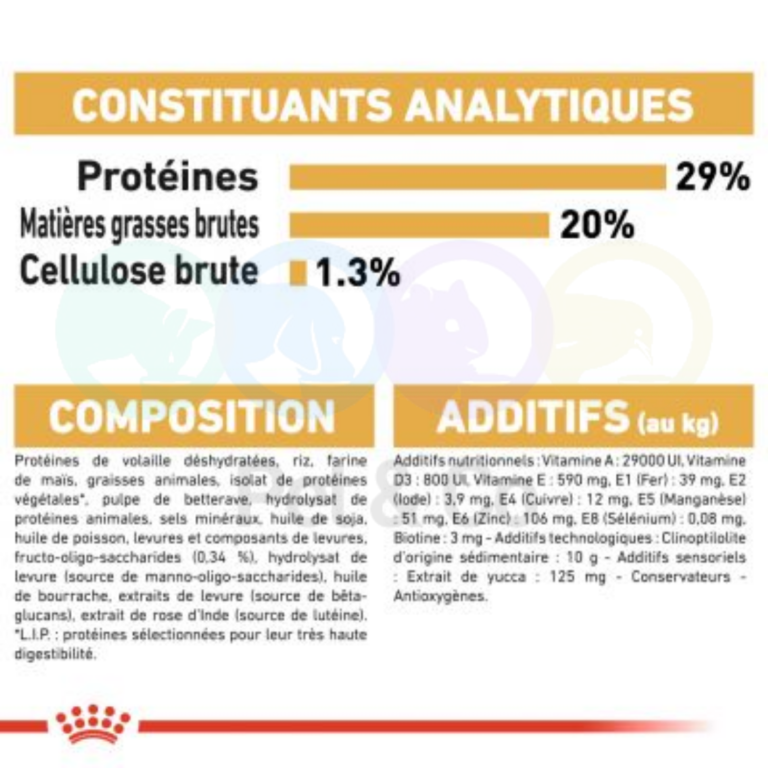 176300005_1082538598819064_81894323474088747_n