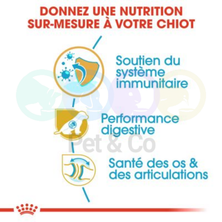 176398379_509084060095950_7910975501635287226_n