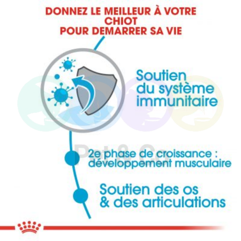 176540799_297416061824509_4863962497781246499_n