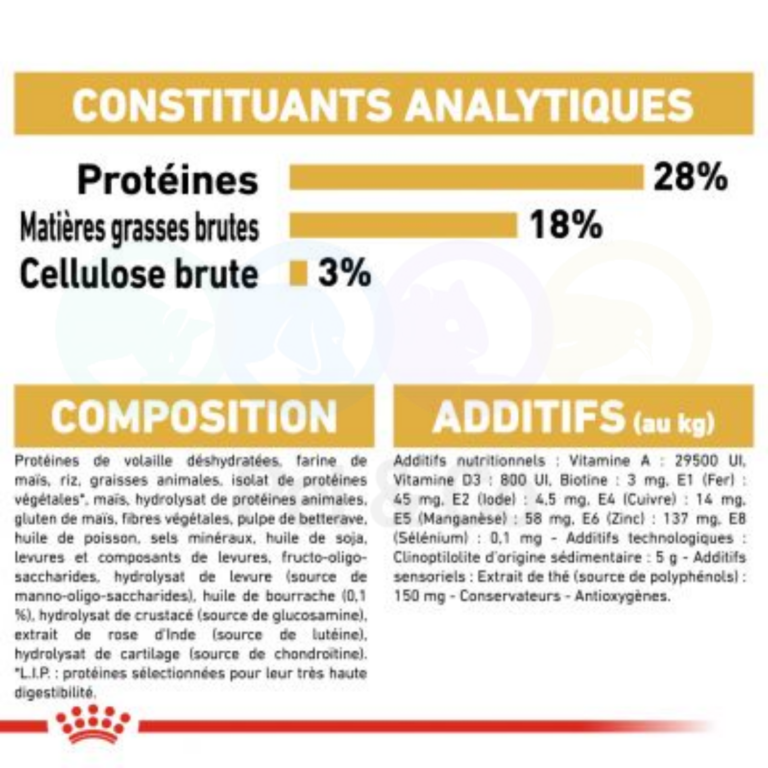 176802856_275468634249707_8318255018440022504_n