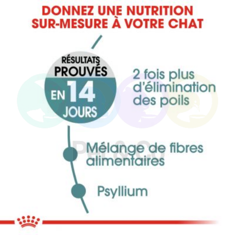 176994342_279166390508464_4582769898297991938_n