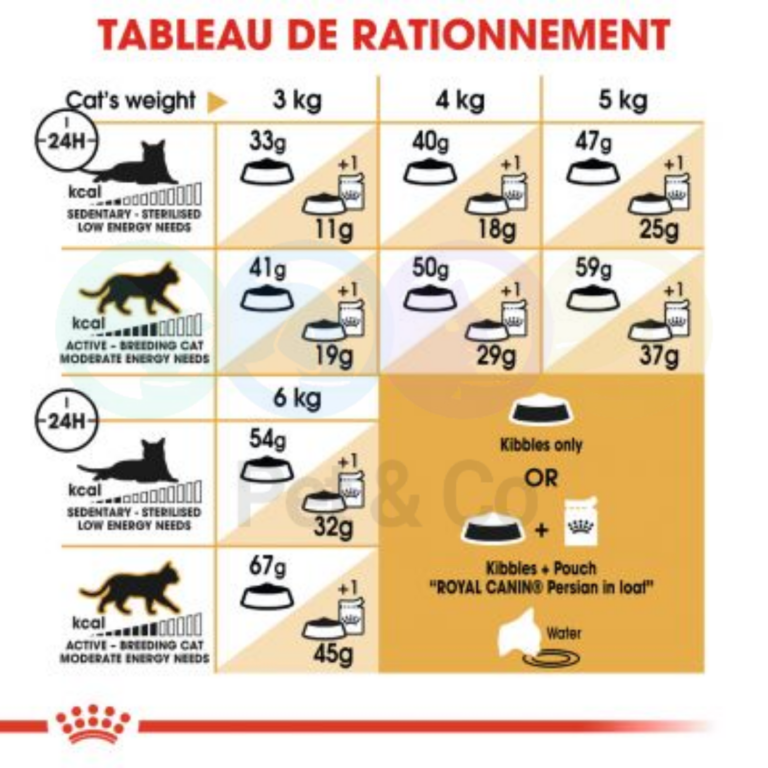 177452406_179986780613081_6604056231865014779_n