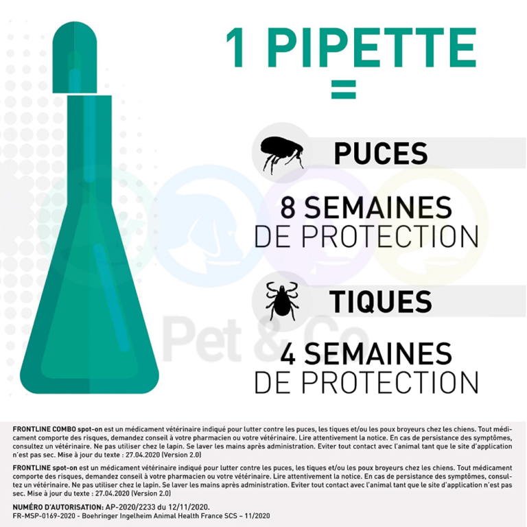 178023009_1192022194612577_7302833835656312896_n