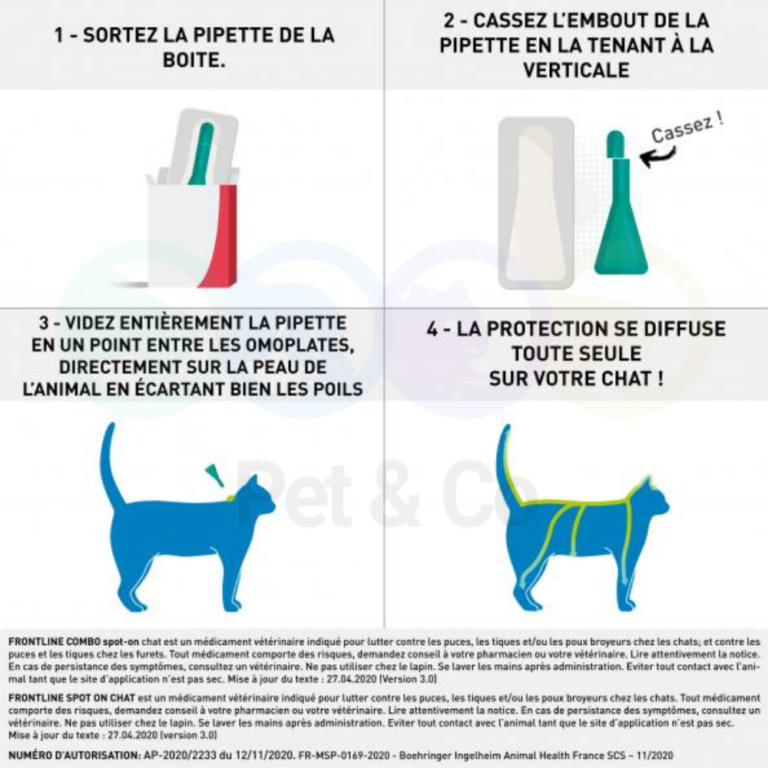 178636112_760651551304917_1656682452839017246_n