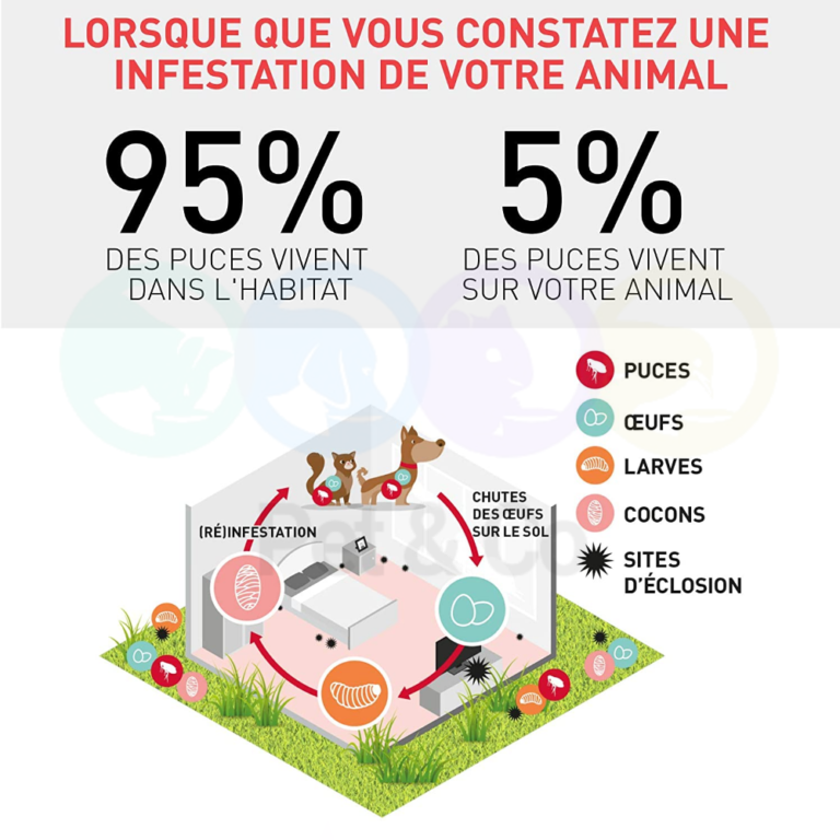 178723921_1477464589271776_8665576077293796968_n