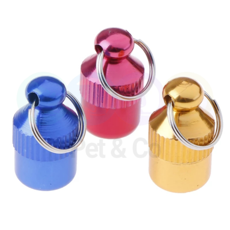 179137020_783454382311443_3830542152217021945_n